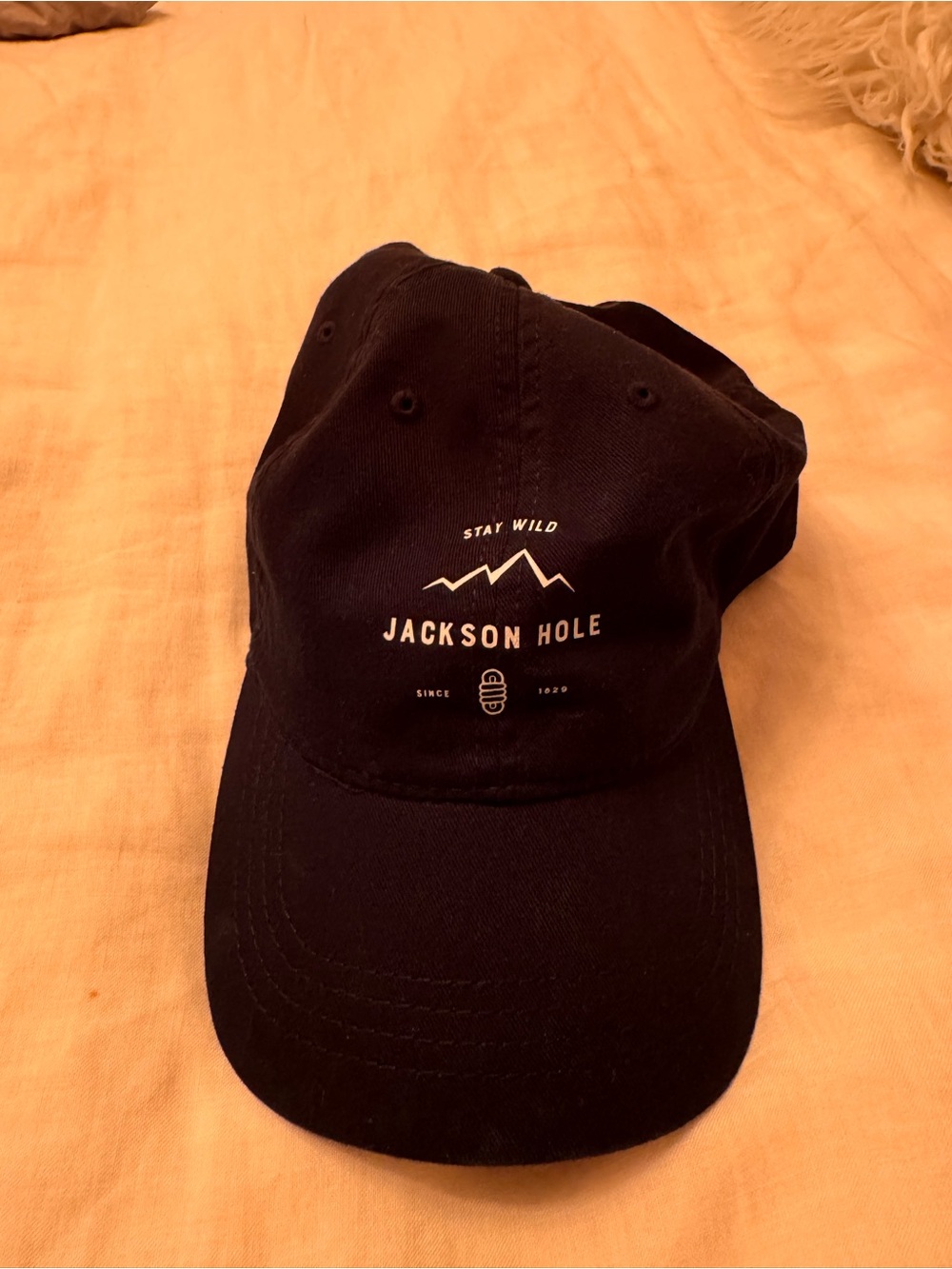 'Stay Wild' Black Baseball Cap